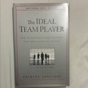 The Ideal Team Player Book by Patrick Lencioni - Gray Cover